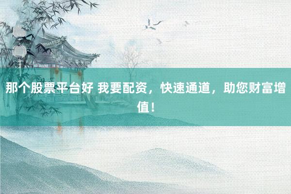 那个股票平台好 我要配资，快速通道，助您财富增值！