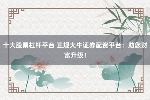 十大股票杠杆平台 正规大牛证券配资平台：助您财富升级！
