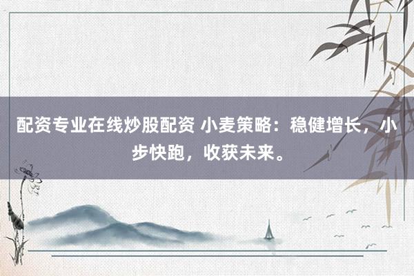 配资专业在线炒股配资 小麦策略：稳健增长，小步快跑，收获未来。