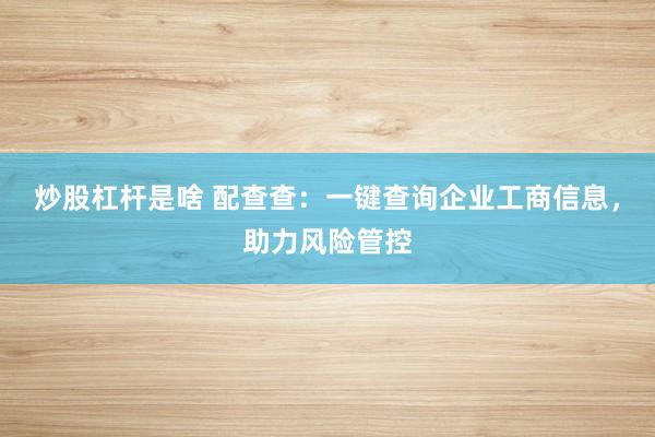 炒股杠杆是啥 配查查：一键查询企业工商信息，助力风险管控