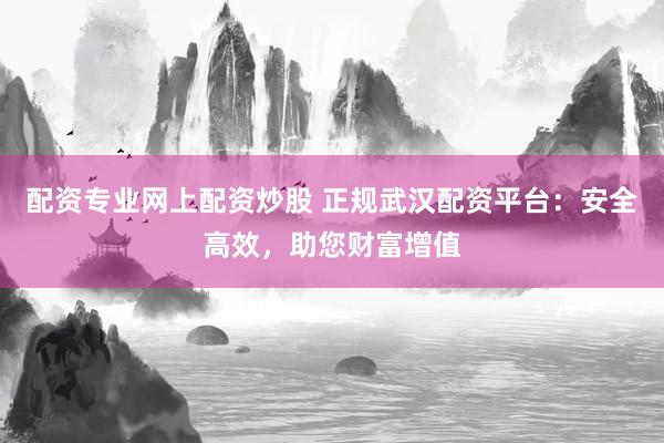 配资专业网上配资炒股 正规武汉配资平台：安全高效，助您财富增值