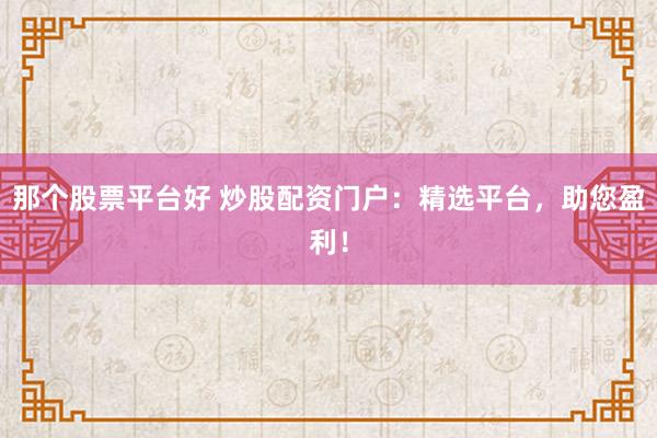 那个股票平台好 炒股配资门户：精选平台，助您盈利！