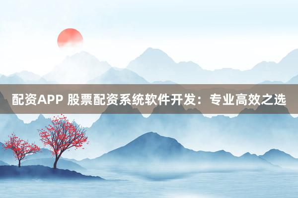 配资APP 股票配资系统软件开发:专业高效之选
