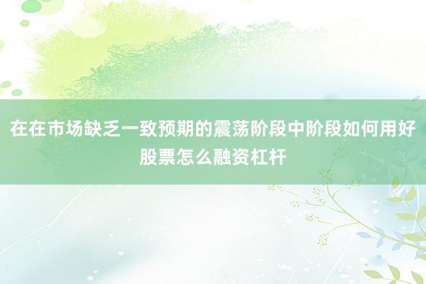 在在市场缺乏一致预期的震荡阶段中阶段如何用好股票怎么融资杠杆